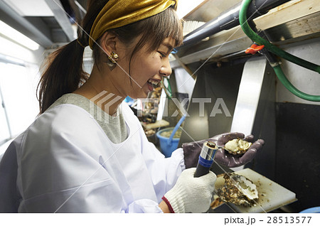 牡蠣打ち体験 28513577