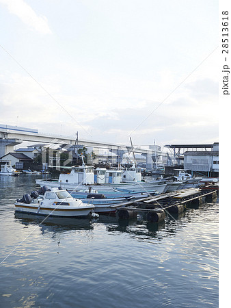 広島　港　漁船 28513618