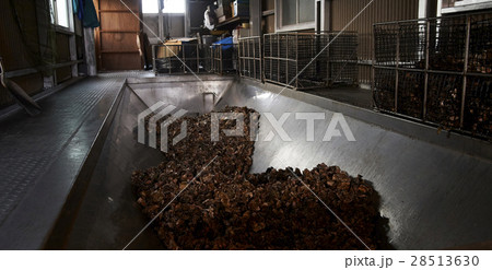 広島　水産加工工場　牡蠣　作業 28513630
