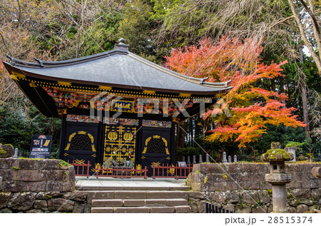 秋の感仙殿 28515374