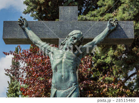 Jesus Christ on cross 28515460