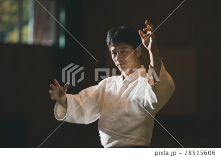 martial artist martial artist 28515606