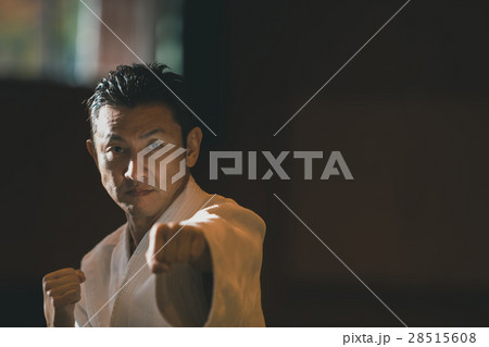 martial artist martial artist 28515608