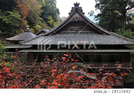 四国別格二十霊場第13番札所「奥之院仙龍寺」紅葉 28515692