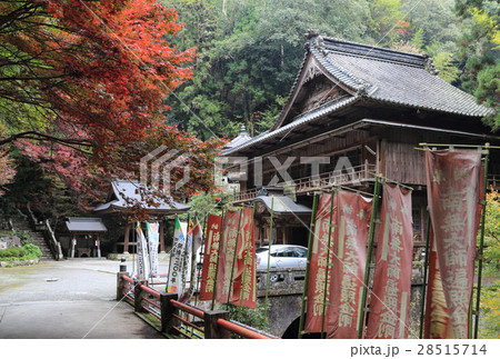 四国別格二十霊場第13番札所「奥之院仙龍寺」蟹淵側から見る紅葉の境内 四国別格二十霊場第13番札所「奥之院仙龍寺」蟹淵側から見る紅葉の境内 28515714