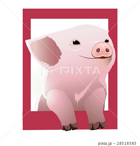 Pig In Frameのイラスト素材