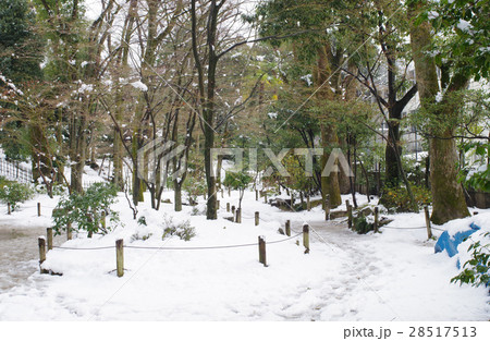 雪化粧をした広島の縮景園 28517513