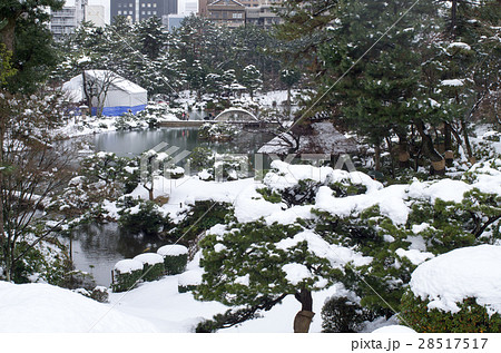 雪化粧をした広島の縮景園 28517517