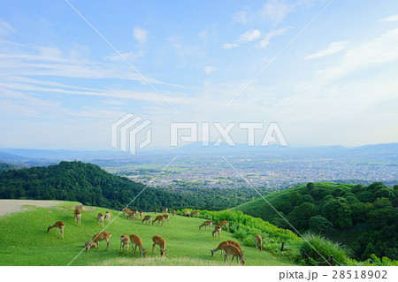 奈良・若草山山上の眺望 奈良・若草山山上の眺望 28518902