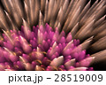 花火の爆発の瞬間 28519009