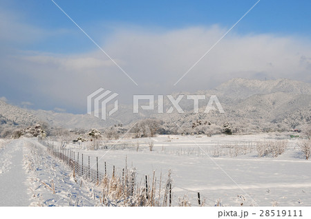 樽見鉄道の冬 樽見鉄道の冬 28519111