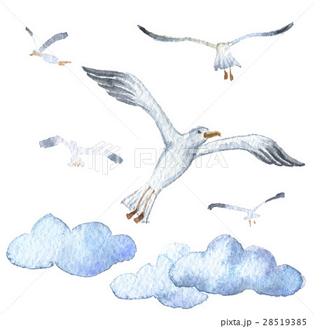 Watercolor. Seagull in the clouds. Sea icon 28519385