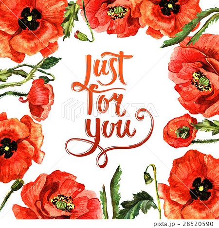 Wildflower poppy flower frame in a watercolor Wildflower poppy flower frame in a watercolor 28520590