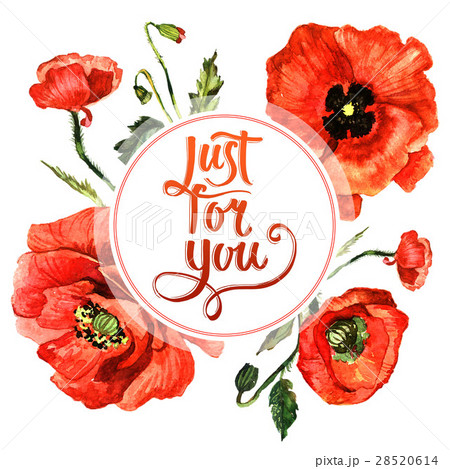 Wildflower poppy flower frame in a watercolor 28520614