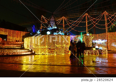 ひらかたパーク夜景 28520624