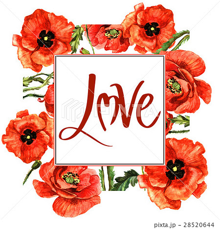 Wildflower poppy flower frame in a watercolor 28520644