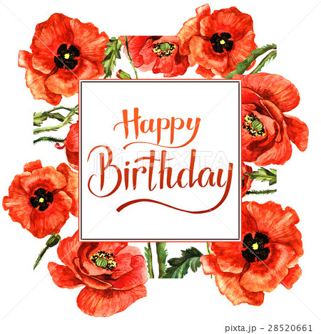 Wildflower poppy flower frame in a watercolor 28520661