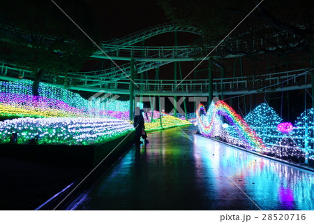 ひらかたパーク夜景 28520716