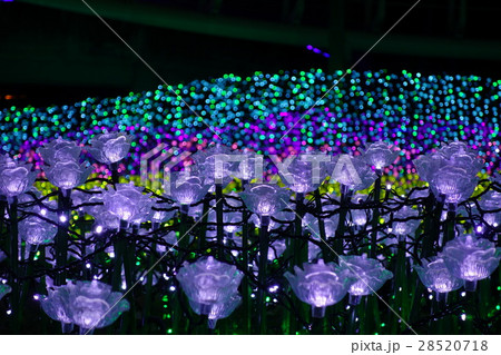 ひらかたパーク夜景 28520718