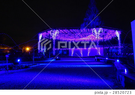 ひらかたパーク夜景 28520723