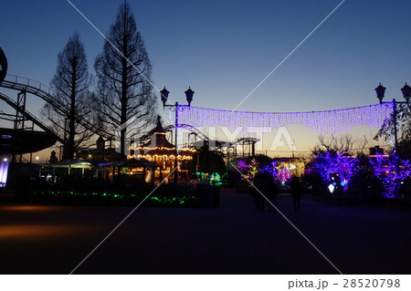 ひらかたパーク夜景 28520798