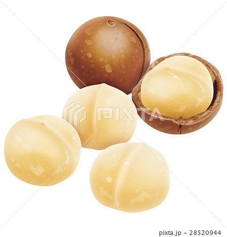 マカダミアナッツ 28520944