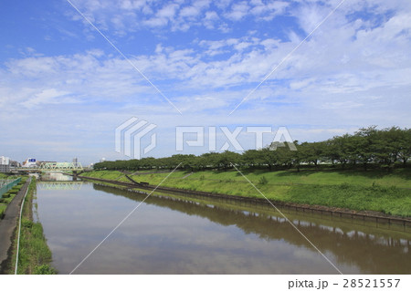 台風一過の新河岸川陸橋 台風一過の新河岸川陸橋 28521557