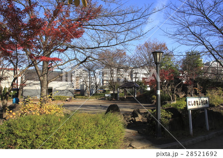 晩秋の川口西公園にて（錦町広場） 28521692