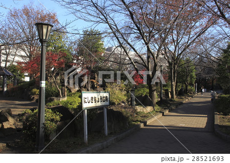 晩秋の川口西公園にて（錦町広場） 28521693