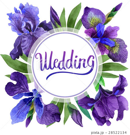 Wildflower iris flower frame in a watercolor style 28522134