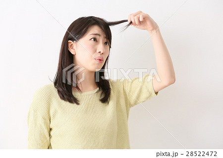 枝毛　 28522472