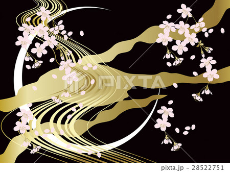 桜の花の背景 桜の花の背景 28522751