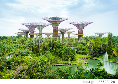 Gardens by the bay Singapore Gardens by the bay Singapore 28523120