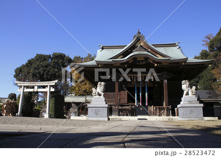 赤羽八幡神社（本殿） 28523472