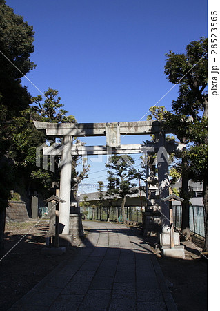 赤羽八幡神社 28523566