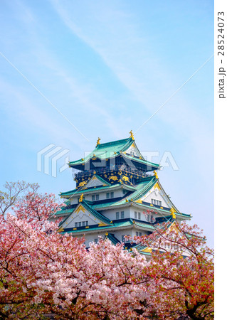 Osaka castle with cherry blossom. Japanese spring Osaka castle with cherry blossom. Japanese spring 28524073