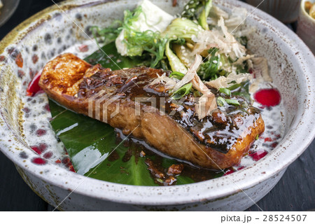 Salmon Teriyaki with Vegetable in Bowl 28524507