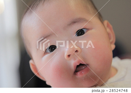 よだれの乳児 よだれの乳児 28524748