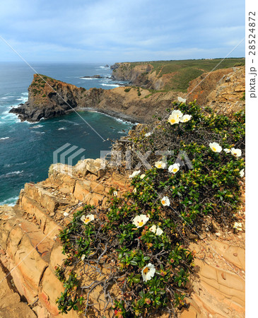Summer Atlantic ocean rocky coastline (Portugal). 28524872