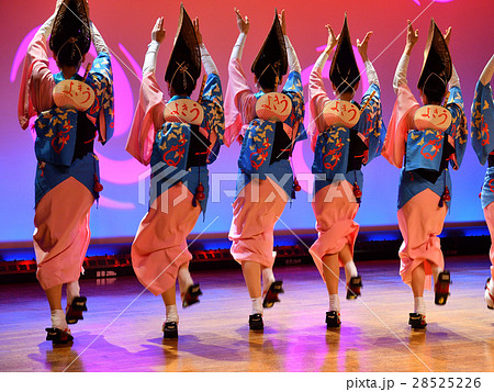 阿波おどり 阿波おどり 28525226