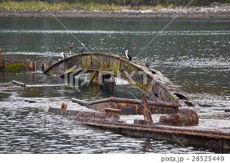 Shipwreck in the water 28525449