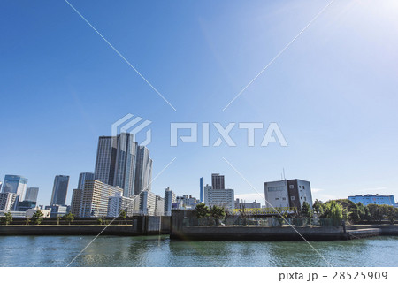 晴海の高層マンション 28525909