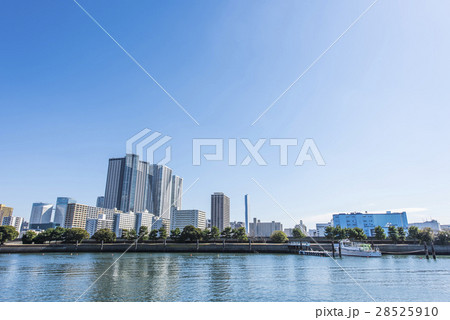 晴海の高層マンション 28525910