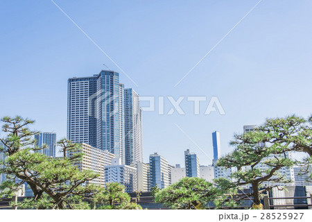 晴海の高層マンション 28525927