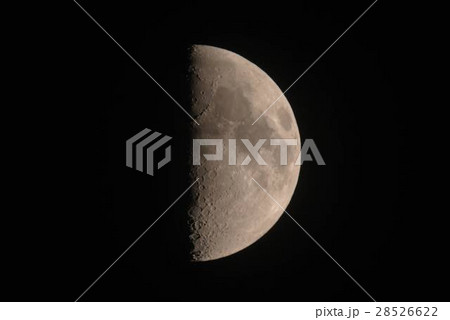 上弦の月 28526622