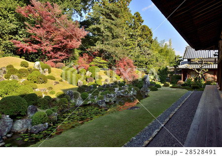 遠州の古刹 龍潭寺庭園 遠州の古刹 龍潭寺庭園 28528491