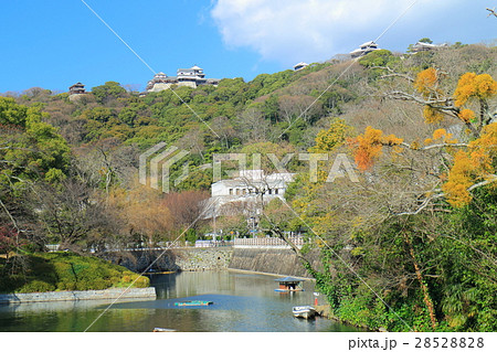 松山城と愛媛県庁 松山城と愛媛県庁 28528828