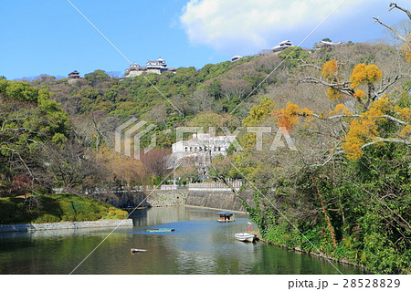 松山城と愛媛県庁 松山城と愛媛県庁 28528829