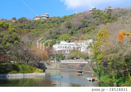 松山城と愛媛県庁 松山城と愛媛県庁 28528831