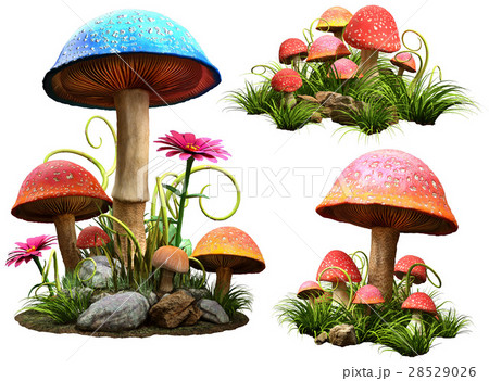 Mushroomsのイラスト素材